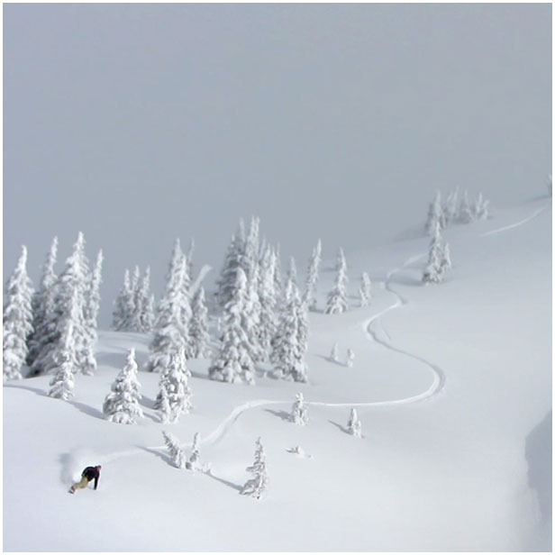 snowboard fernie bc